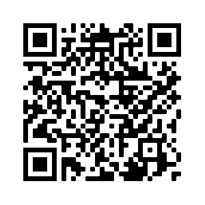 QR code Ling Ma talk