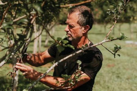 photo of Stephen Mihm and apple trees by Growl