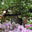 photo of the UGA arch in spring